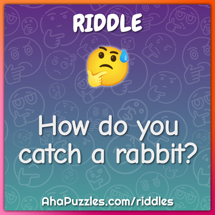 How do you catch a rabbit?