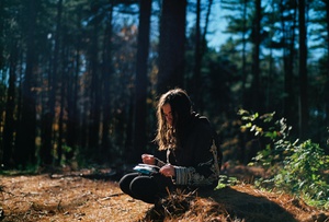 Forest Artistry