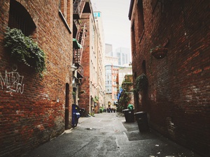 Urban Grit in New York Alleyway