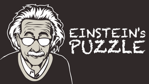 Einstein's Puzzle