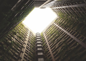 Nature Reclaims Abandoned Building