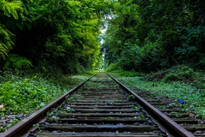 Nature's Overgrowth