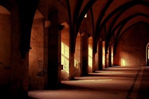 Illuminated Arches