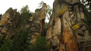 Jungle Cliff Enclave