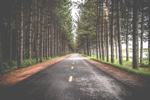 Wanderlust Pathway