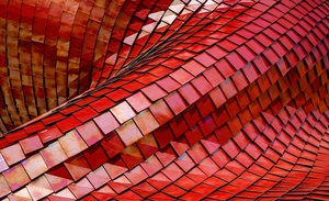 Abstract Red Scales