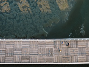 Bird's Eye Boardwalk