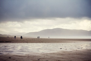 Misty Beachfront