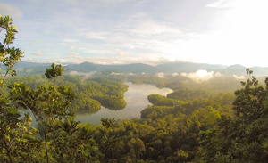 Serene Morning in Malaysia