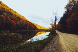Autumn Path