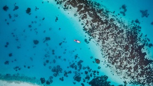 Azure Waters of the Reef