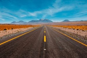 Desolate Path