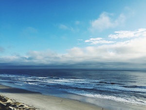 Serene Shoreline