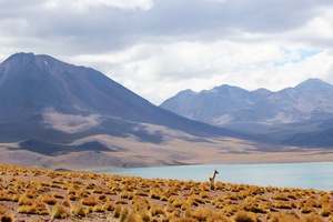 Serene Wilderness of Chile