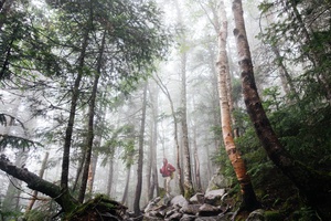 Misty Trail