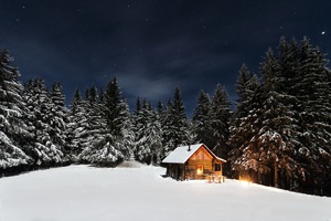Winter Wonderland Cabin