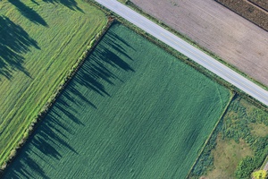 Symmetrical Farmland