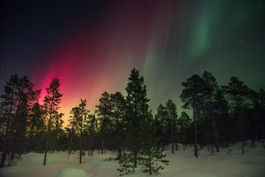 Aurora Borealis Delight