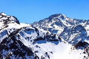 Snowy Majesty