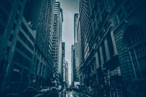 Urban Hustle and Bustle