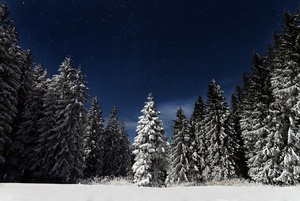 Stellar Winter Wonderland