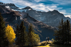 Nature's Grand Tapestry