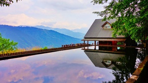 Pool Reflections