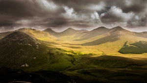 Verdant Valley