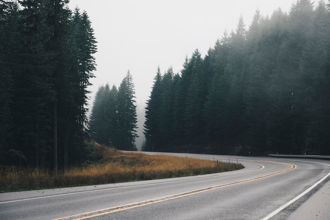 Bend in the Forest Road
