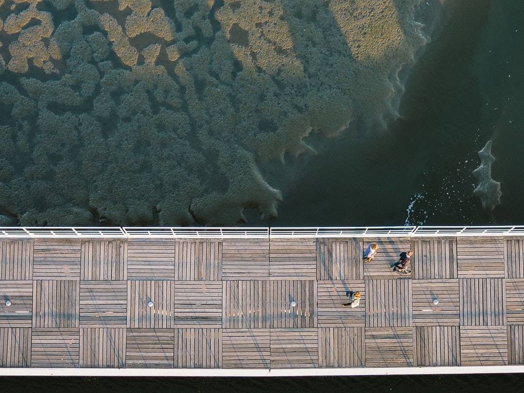 Bird's Eye Boardwalk