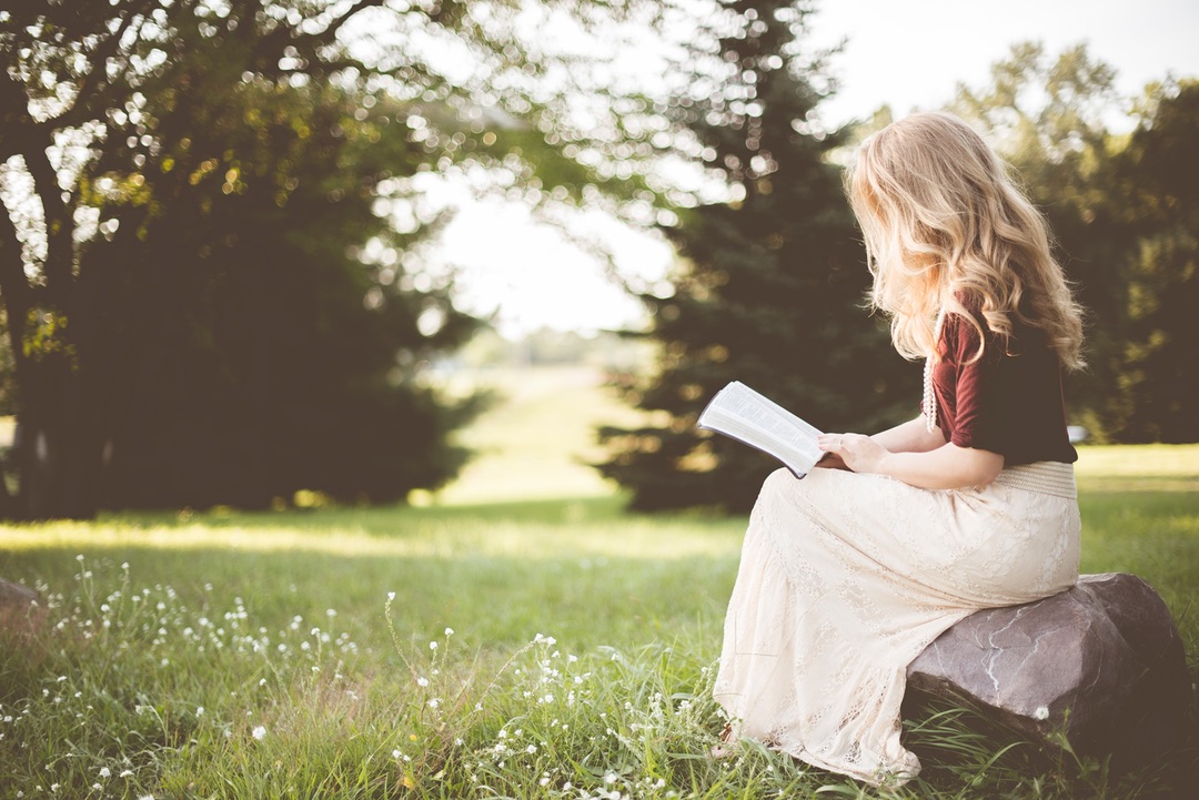 Bookworm's Oasis