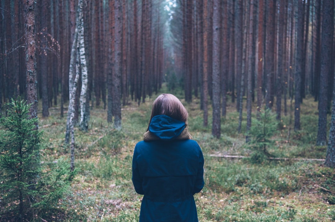 Contemplative Forest Encounter