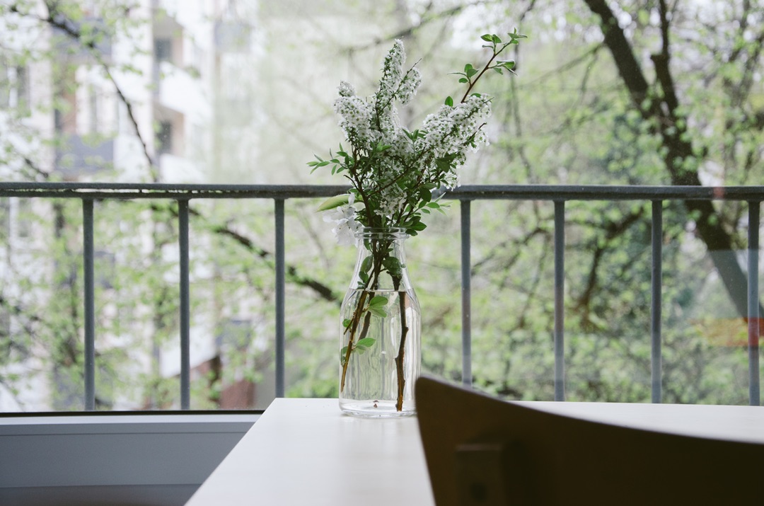 Elegance of White Flowers
