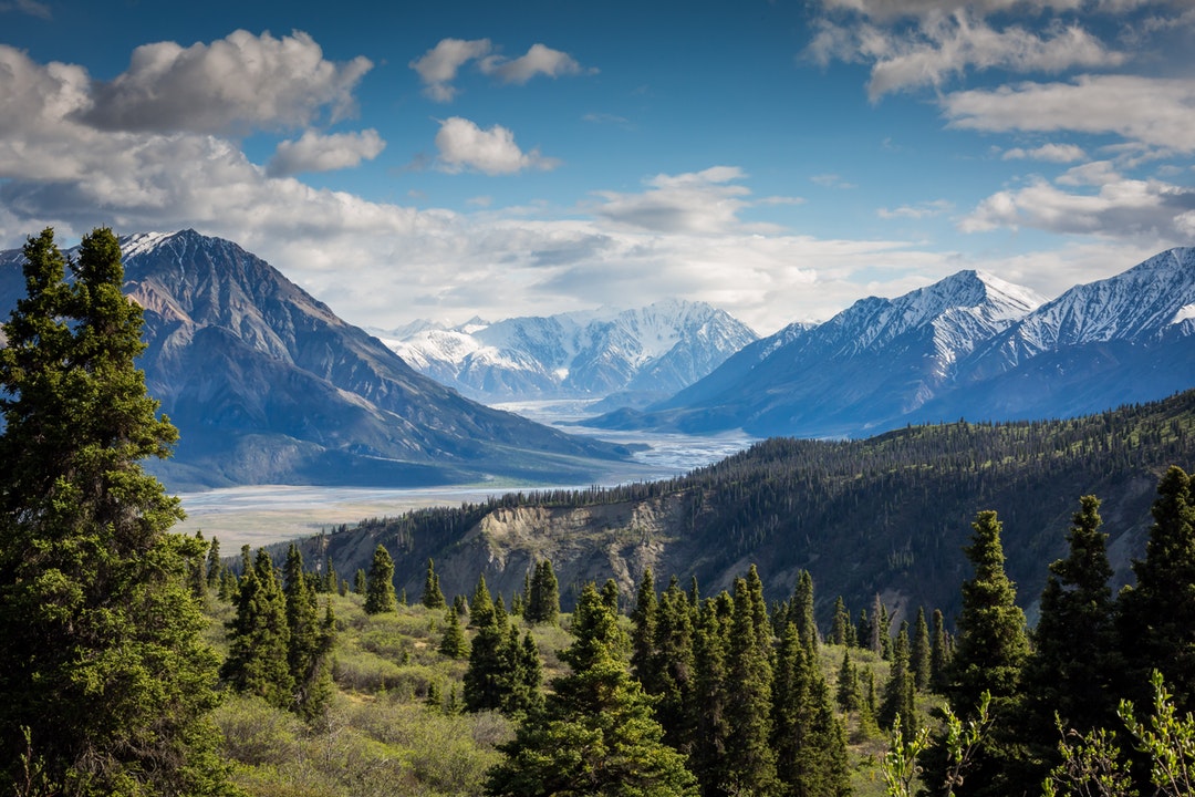 Expansive Vistas