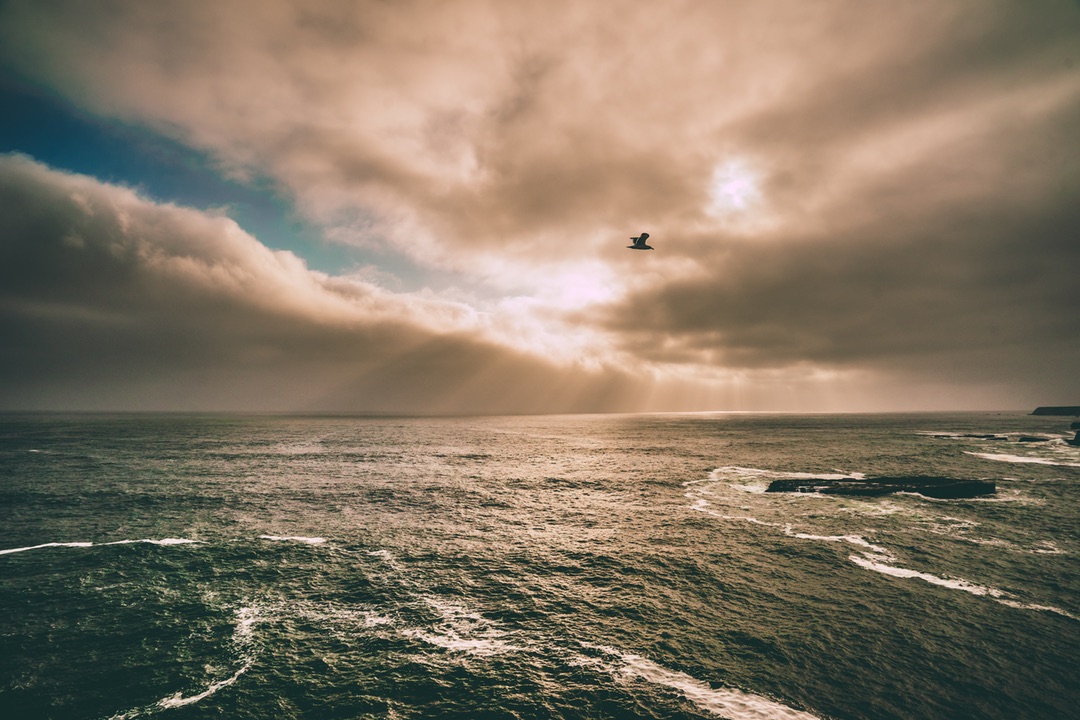 Freedom Above the Seas