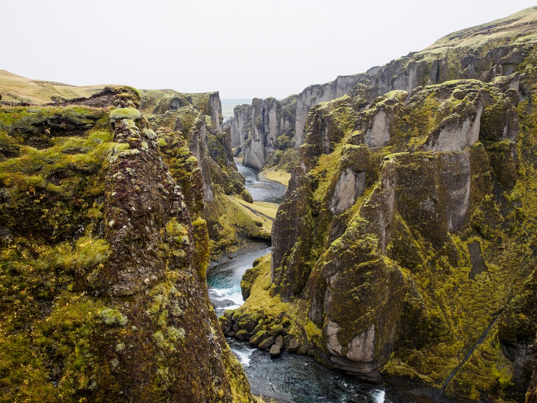 Mossy Hills with River