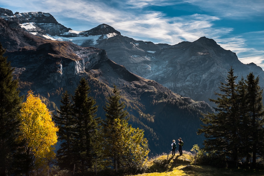 Nature's Grand Tapestry