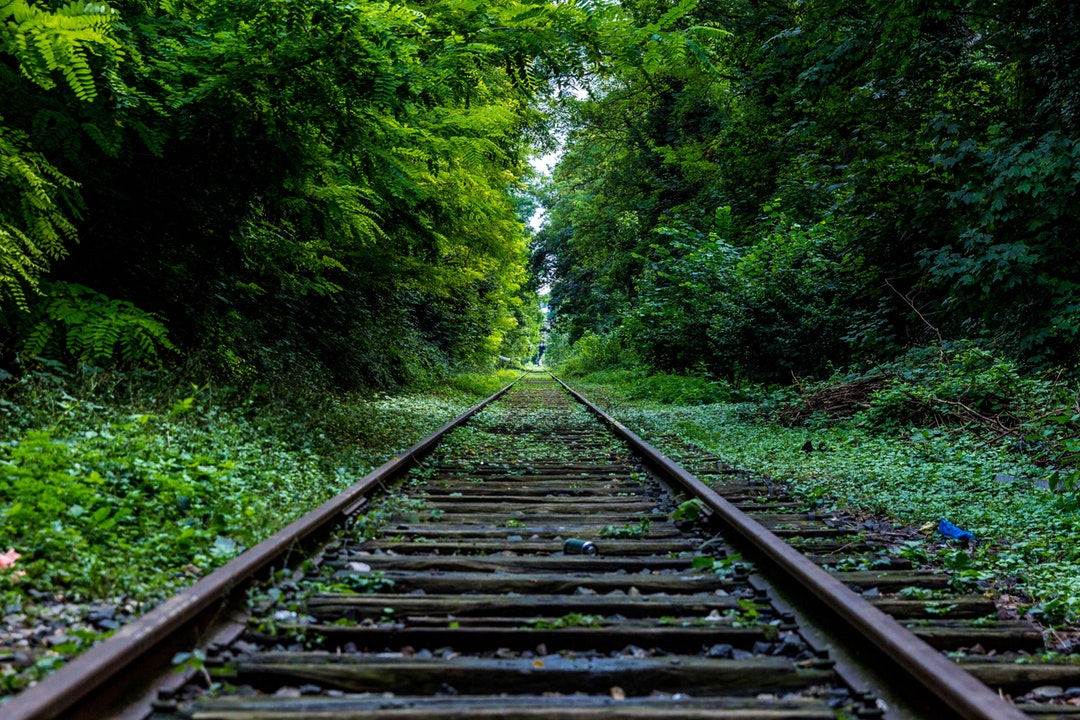 Nature's Overgrowth