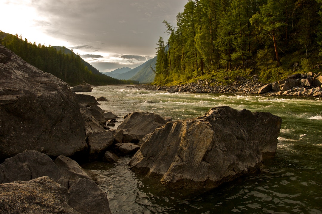 Riverside Oasis