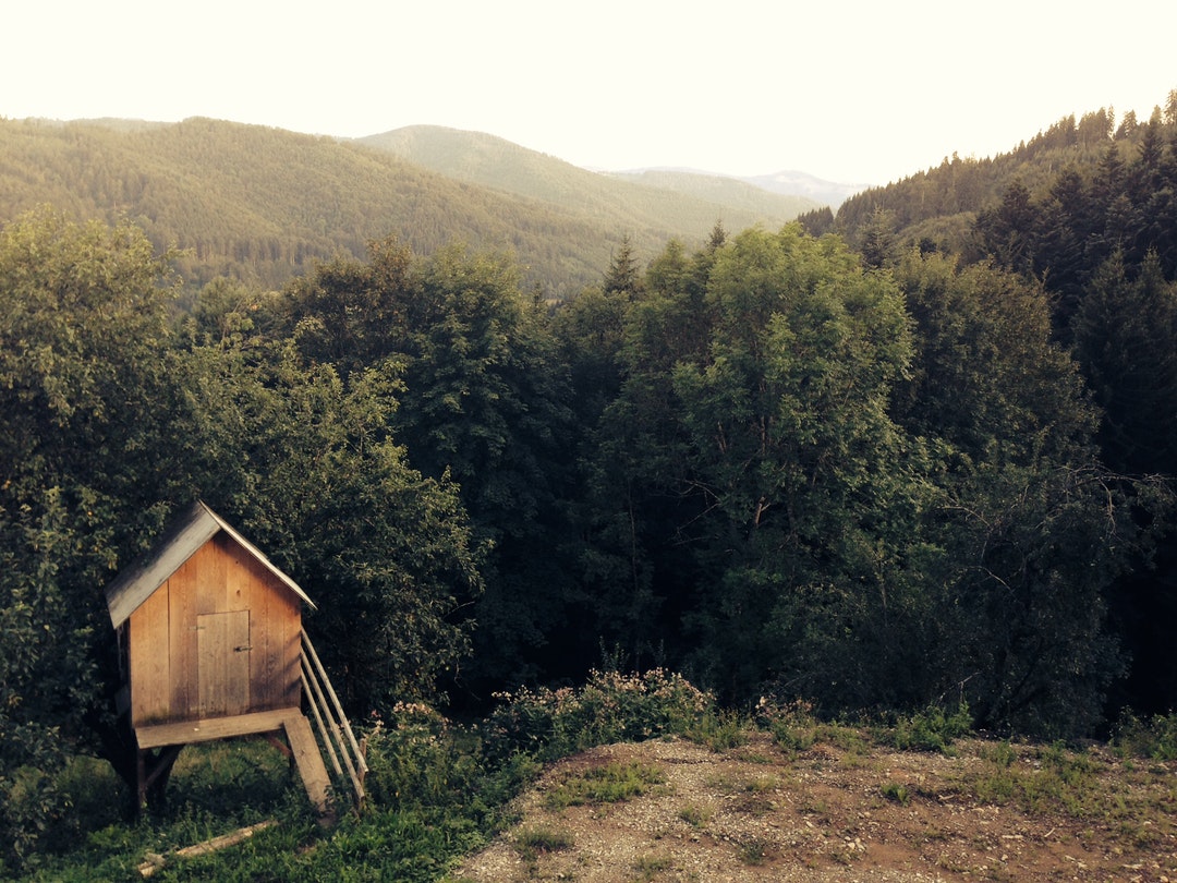 Secluded Cabin in the Woods