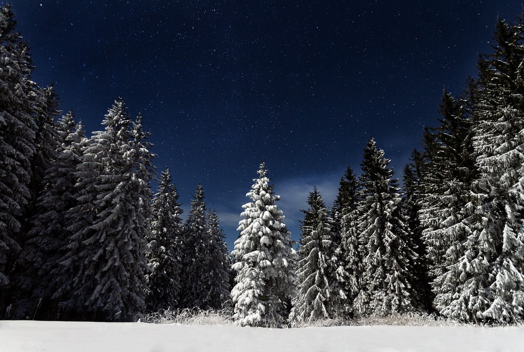Stellar Winter Wonderland