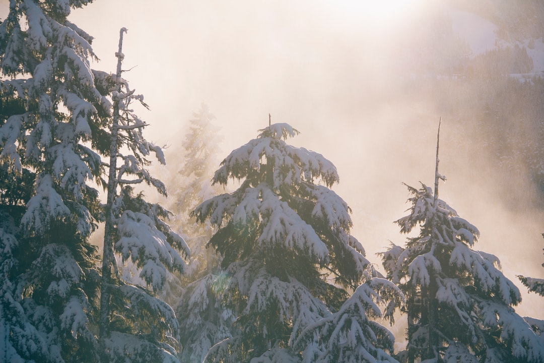 Sunlit Melodies