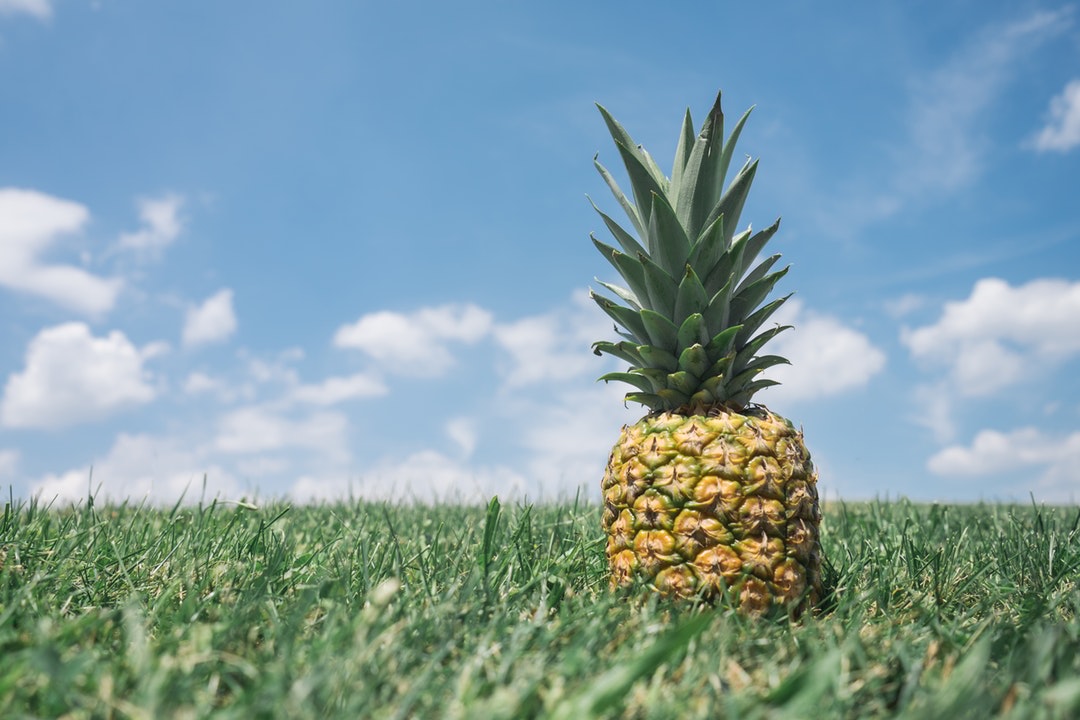 Tropical Delight