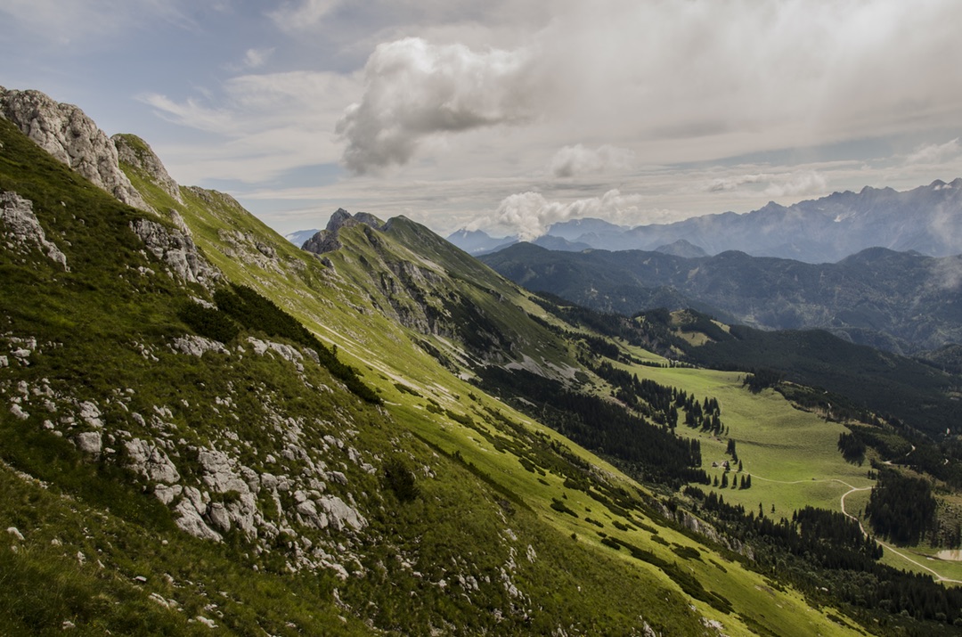 Verdant Rocky Mountains