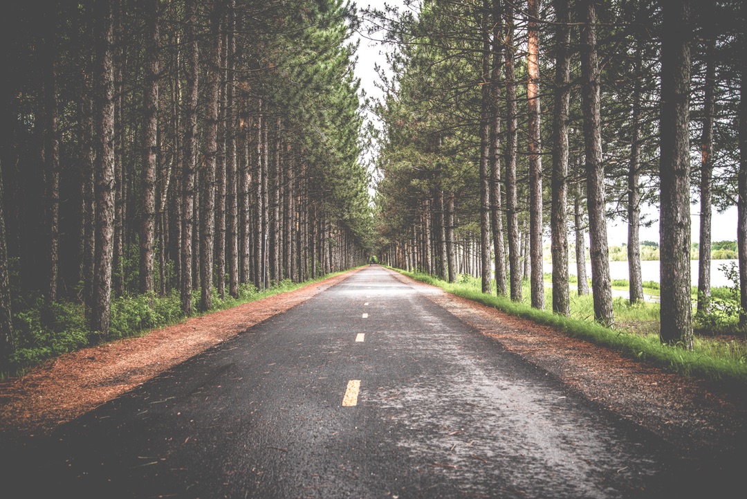 Wanderlust Pathway