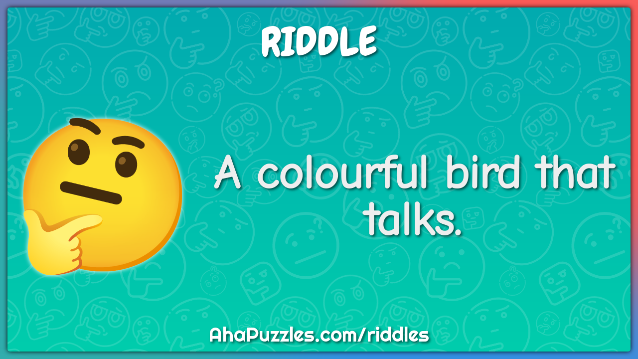 A colourful bird that talks.