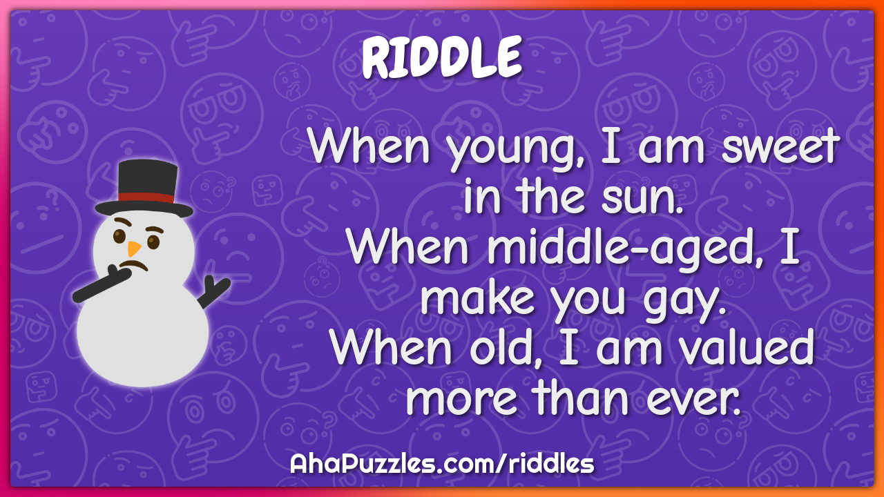 When young, I am sweet in the sun. When middle-aged, I make you gay....