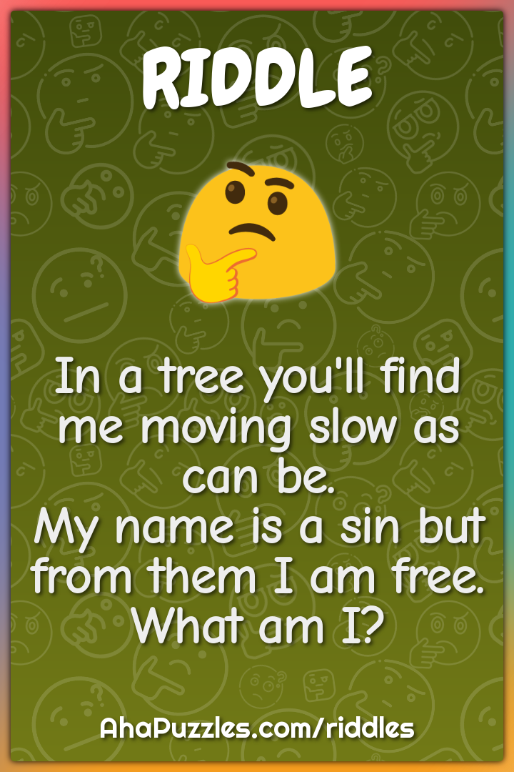 In a tree you'll find me moving slow as can be. My name is a sin but...