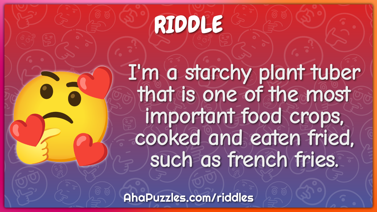 I'm a starchy plant tuber that is one of the most important food...