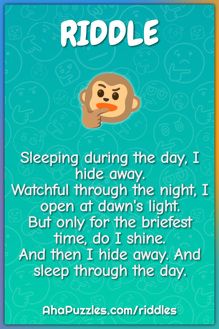 Sleeping during the day, I hide away. Watchful through the night, I...